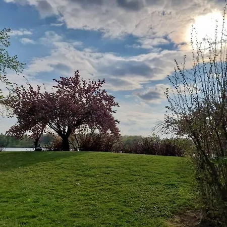 Paris A Portee De Main Appartement Créteil